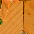 WZ0020.jpg