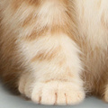 YE0009.jpg