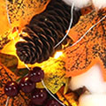 SP2894.jpg