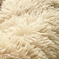 SP0758.jpg