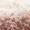 WF0061.jpg