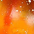 SP1784.jpg