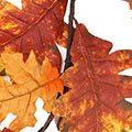 SP2887.jpg