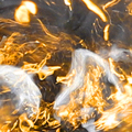 FI0313-011.jpg