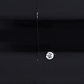 PM1491-2101.jpg