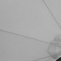 LG0438-2.jpg