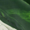 PM1575-1013.jpg