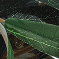 PM1577-1512.jpg