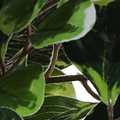 PM1590-1409.jpg
