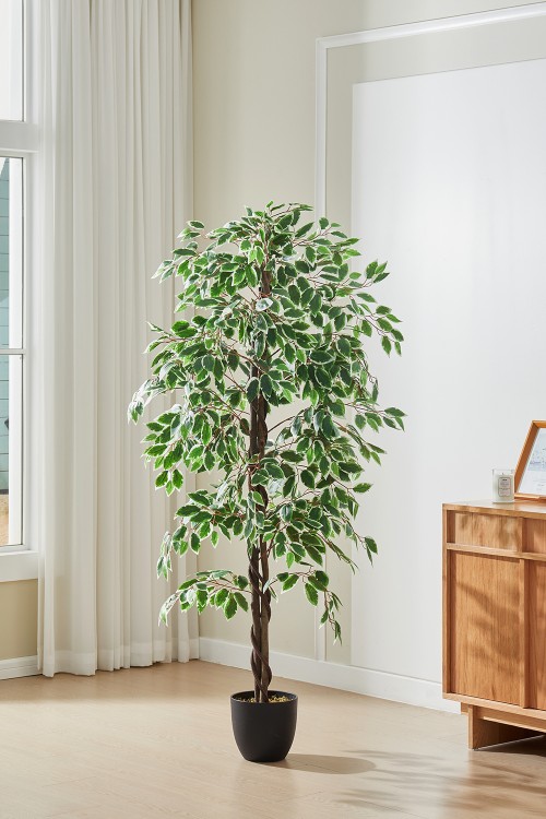 PM1574-1500-2-GS.jpg