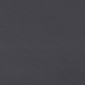 LG1437-1603.jpg